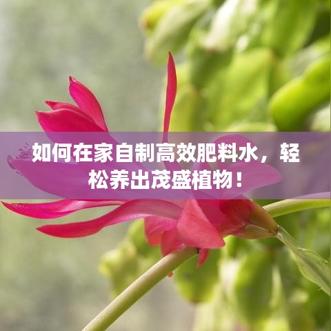 瑞雪纷飞