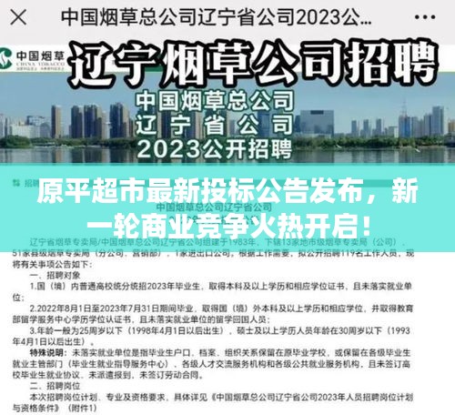 原平超市最新投标公告发布，新一轮商业竞争火热开启！