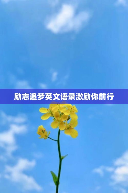 励志追梦英文语录激励你前行