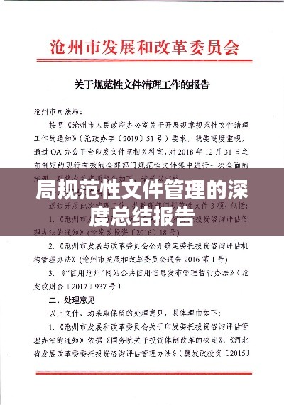 局规范性文件管理的深度总结报告