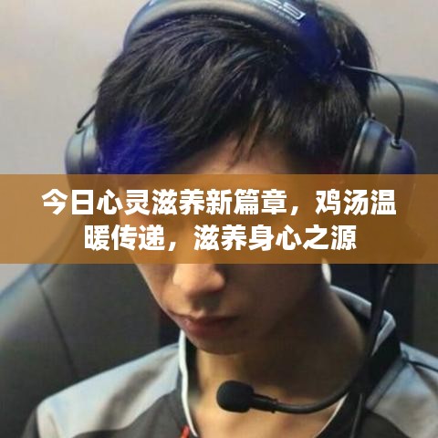 今日心灵滋养新篇章，鸡汤温暖传递，滋养身心之源