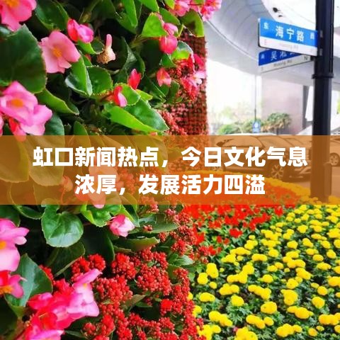 虹口新闻热点，今日文化气息浓厚，发展活力四溢