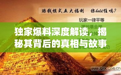 独家爆料深度解读，揭秘其背后的真相与故事！