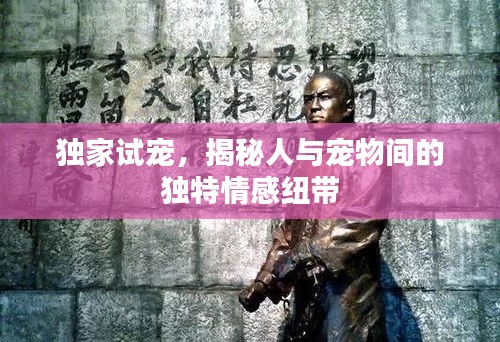 独家试宠，揭秘人与宠物间的独特情感纽带
