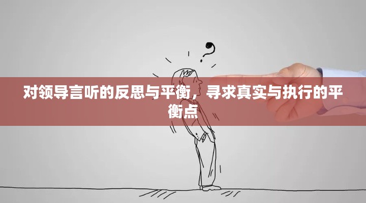 对领导言听的反思与平衡，寻求真实与执行的平衡点