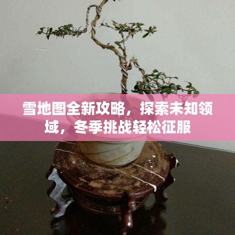 雪地图全新攻略，探索未知领域，冬季挑战轻松征服