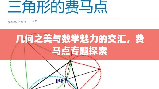 几何之美与数学魅力的交汇，费马点专题探索