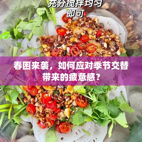 春困来袭，如何应对季节交替带来的疲惫感？