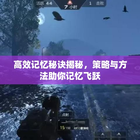 高效记忆秘诀揭秘，策略与方法助你记忆飞跃