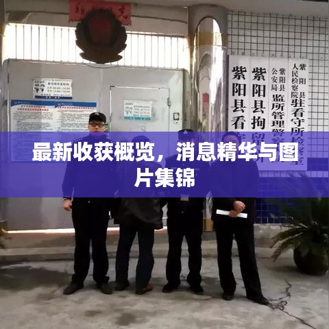 如鸟兽散
