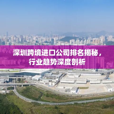 深圳跨境进口公司排名揭秘，行业趋势深度剖析