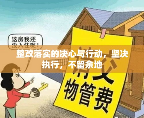 整改落实的决心与行动，坚决执行，不留余地