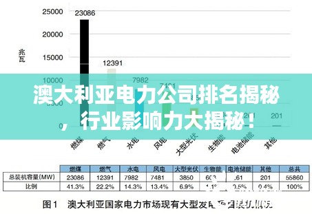 澳大利亚电力公司排名揭秘，行业影响力大揭秘！