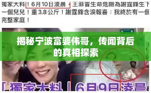 揭秘宁波富婆伟哥，传闻背后的真相探索