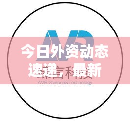 今日外资动态速递，最新消息一览