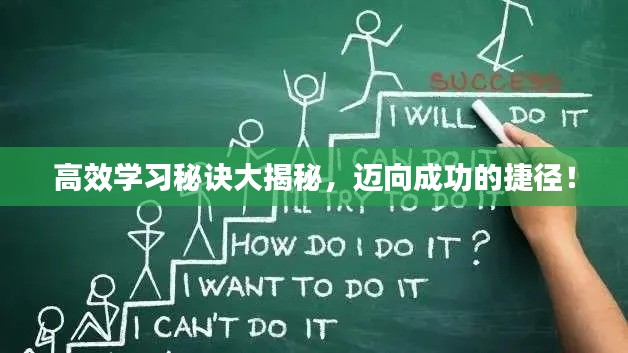 高效学习秘诀大揭秘，迈向成功的捷径！