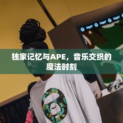 独家记忆与APE，音乐交织的魔法时刻
