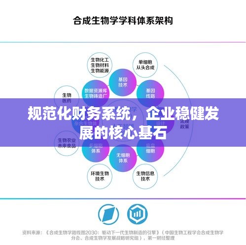 规范化财务系统，企业稳健发展的核心基石