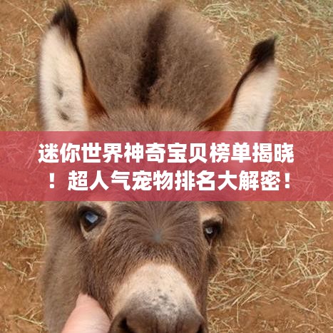 迷你世界神奇宝贝榜单揭晓！超人气宠物排名大解密！