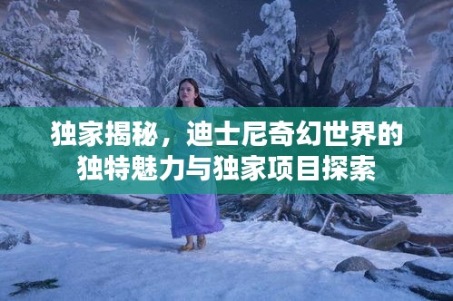 独家揭秘，迪士尼奇幻世界的独特魅力与独家项目探索