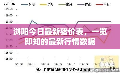浏阳今日最新猪价表，一览即知的最新行情数据