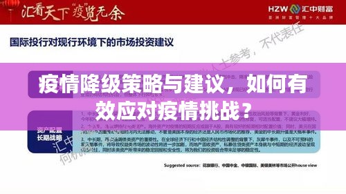 疫情降级策略与建议，如何有效应对疫情挑战？