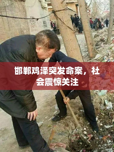 邯郸鸡泽突发命案，社会震惊关注