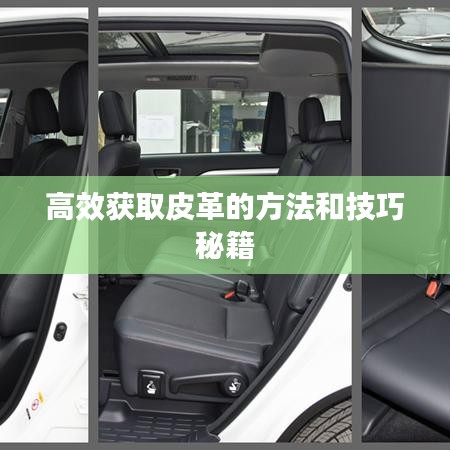 高效获取皮革的方法和技巧秘籍