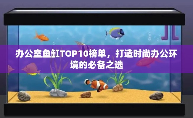 办公室鱼缸TOP10榜单，打造时尚办公环境的必备之选