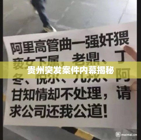 贵州突发案件内幕揭秘