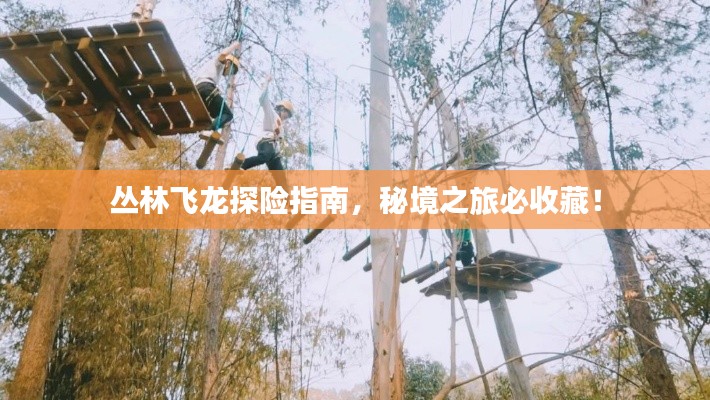 丛林飞龙探险指南，秘境之旅必收藏！