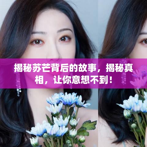揭秘苏芒背后的故事，揭秘真相，让你意想不到！