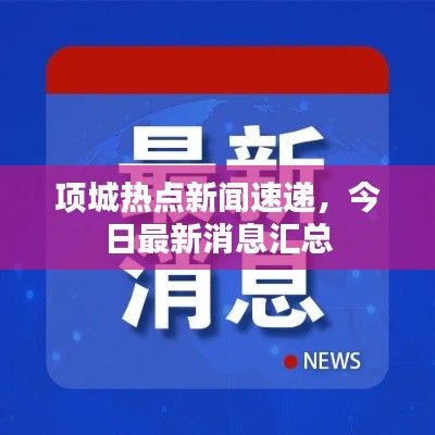 项城热点新闻速递，今日最新消息汇总