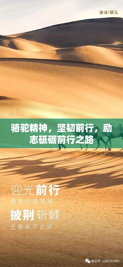 解决方案 第3页