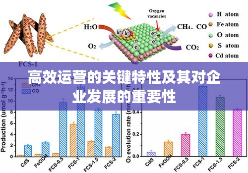 高效运营的关键特性及其对企业发展的重要性