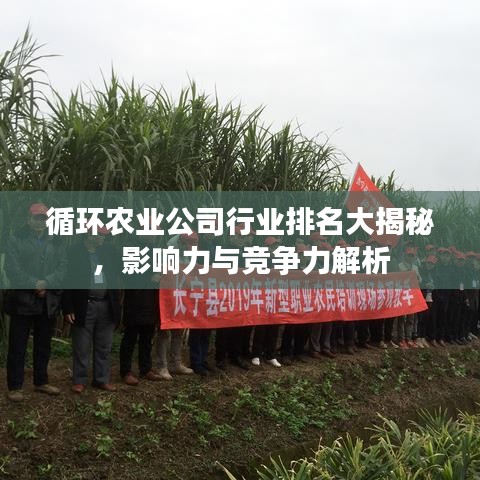 循环农业公司行业排名大揭秘，影响力与竞争力解析