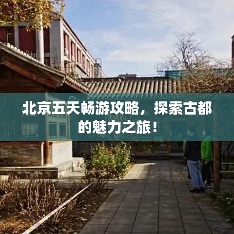 北京五天畅游攻略，探索古都的魅力之旅！