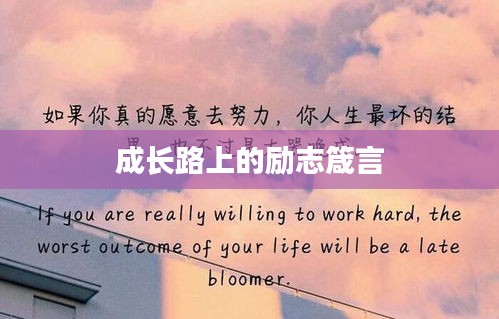 成长路上的励志箴言