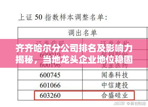齐齐哈尔分公司排名及影响力揭秘，当地龙头企业地位稳固