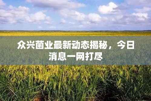 众兴菌业最新动态揭秘，今日消息一网打尽