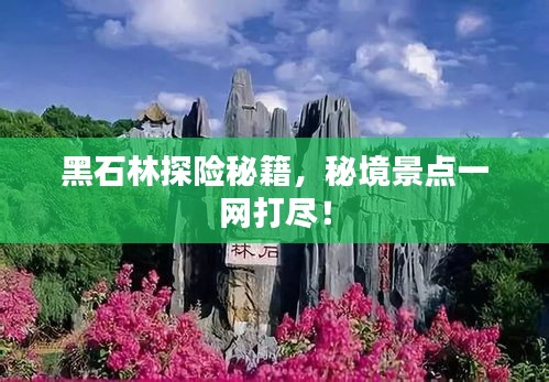 黑石林探险秘籍，秘境景点一网打尽！