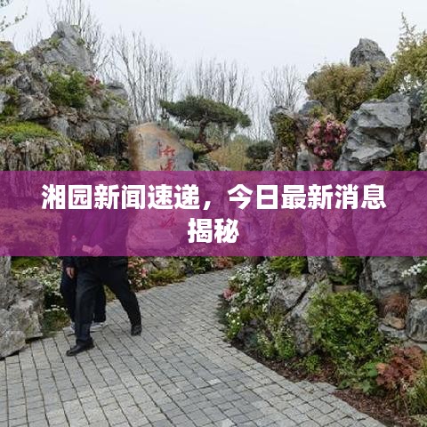 湘园新闻速递，今日最新消息揭秘