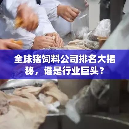 全球猪饲料公司排名大揭秘，谁是行业巨头？