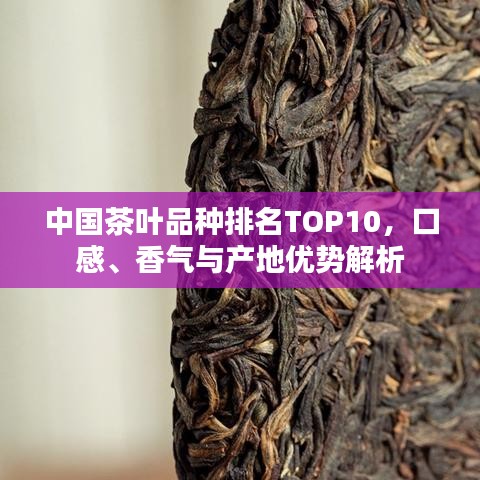 中国茶叶品种排名TOP10，口感、香气与产地优势解析
