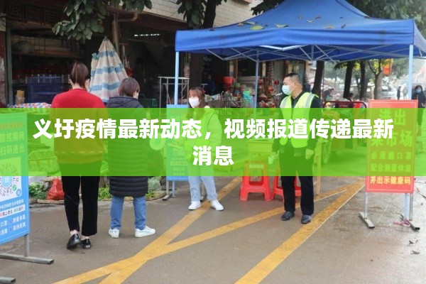 义圩疫情最新动态，视频报道传递最新消息