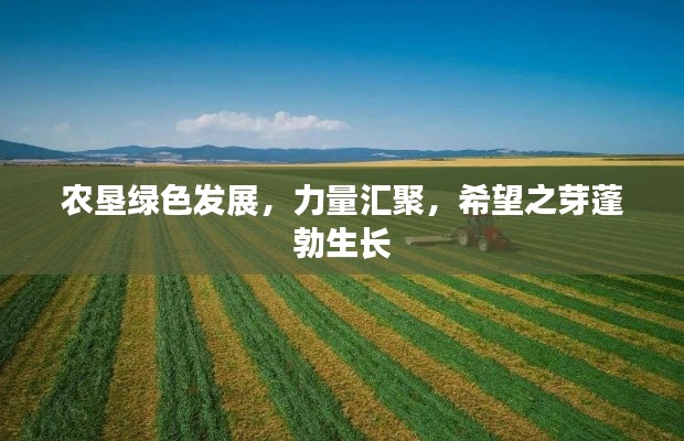 农垦绿色发展，力量汇聚，希望之芽蓬勃生长