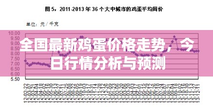 全国最新鸡蛋价格走势，今日行情分析与预测