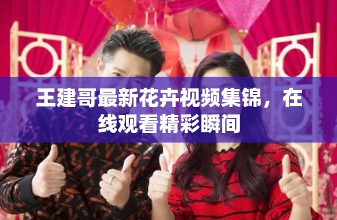 王建哥最新花卉视频集锦，在线观看精彩瞬间