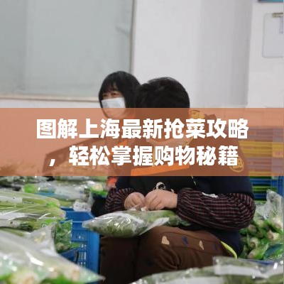 图解上海最新抢菜攻略，轻松掌握购物秘籍