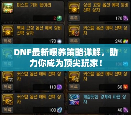 DNF最新喂养策略详解，助力你成为顶尖玩家！